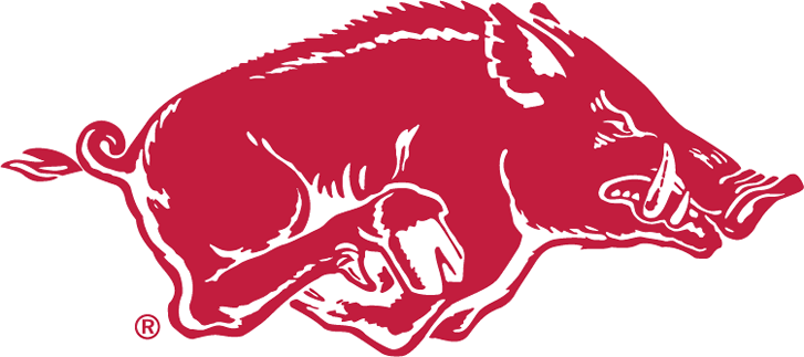 Arkansas Razorbacks 1967-2000 Alternate Logo iron on transfers for T-shirts